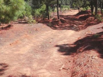 Rancho Venta El Charo Michoacán