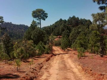 Rancho Venta El Charo Michoacán