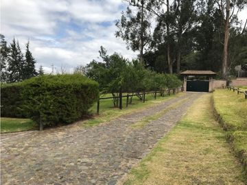 VENDO CASA DE LUJO EN PIFO 3103 M2 TERRENO JARDINES 463 CONSTRUCCION
