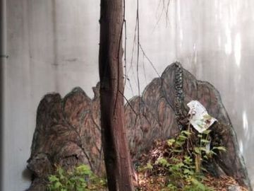 Rumah Rangkah TAMBAKSARI 2 Lantai Strategis Siap Huni Mulus