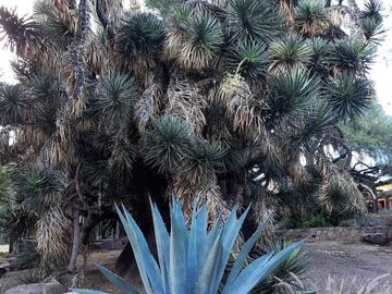 RANCHO COMO HOTEL BOUTIQUE