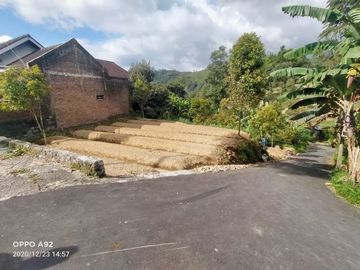 Tanah kemuning area wisata jalan utama