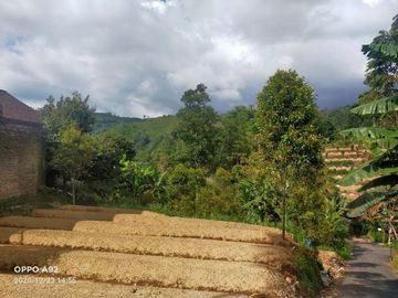 Tanah kemuning area wisata jalan utama