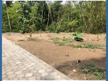 Harga Murah di Bumirejo, Magelang: Hanya 1 Juta-an