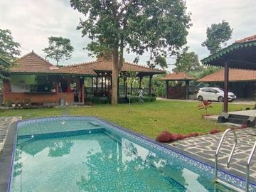 Rumah Joglo Etnik Jawa Mewah Kolam Renang di Turi Sleman