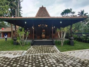 Rumah Joglo Etnik Jawa Mewah Kolam Renang di Turi Sleman