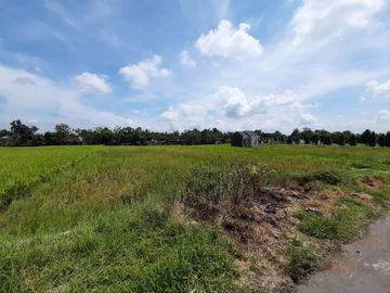 Dekat Jalan Jogja Solo-Klaten Kavling Tanah Klaten Murah SHM