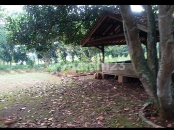 Tanah Dijual Di Jln Pondok Petir Depok