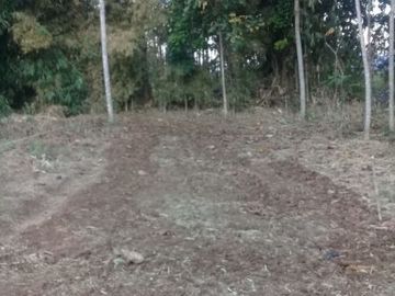 Tanah Cocok Investasi Di Cileunyi Manglayang Dekat Kampus UIN Cibiru