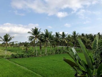 Villa for sale with rice field view near Kedungu Beach Bali