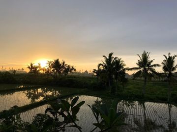 Villa for sale with rice field view near Kedungu Beach Bali