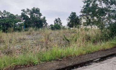 163 Sqm Affordable Ready for Building Lot for Sale in Bulacao Talisay Cebu City