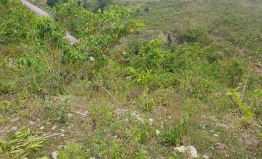 Most Affordable 100 Sqm Ready for Building Lot for Sale in Consolacion Cebu
