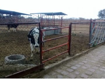 RANCHO EN VENTA LA PROVIDENCIA EN EL LLANO