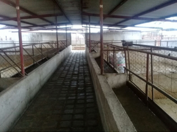 RANCHO EN VENTA LA PROVIDENCIA EN EL LLANO