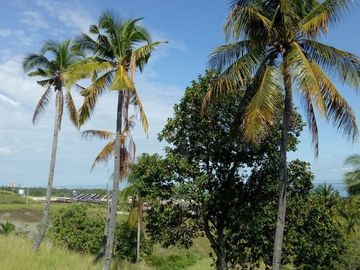 For Sale Pre-Selling 2 Storey Single Attached 4 Bedroom House in San Fernando, Cebu