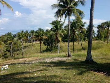 For Sale Pre-Selling 2 Storey Single Attached 4 Bedroom House in San Fernando, Cebu