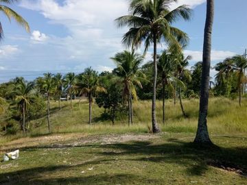 For Sale Pre-Selling 2 Storey Single Attached 4 Bedroom House in San Fernando, Cebu