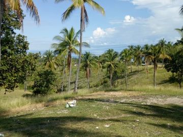 For Sale Pre-Selling 2 Storey Single Attached 4 Bedroom House in San Fernando, Cebu