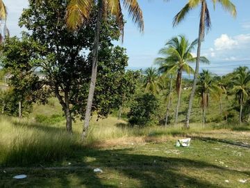 For Sale Pre-Selling 2 Storey Single Attached 4 Bedroom House in San Fernando, Cebu