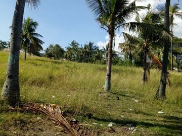 For Sale Pre-Selling 2 Storey Single Attached 4 Bedroom House in San Fernando, Cebu