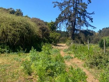 Sitio en Venta en Vichuquén