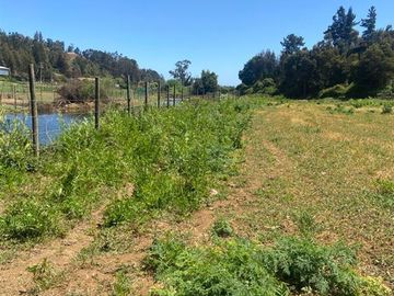 Sitio en Venta en Vichuquén