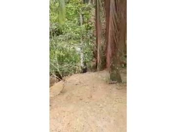 VENDO LOTE DE 6100M2 EN RAMBALA