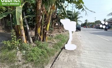 835 sqm Beach Lot for Sale in Compostela, along the road