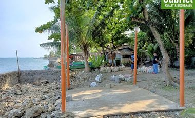 835 sqm Beach Lot for Sale in Compostela, along the road