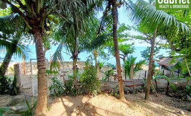 835 sqm Beach Lot for Sale in Compostela, along the road
