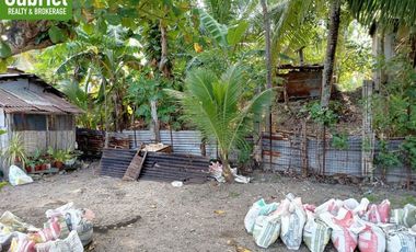 835 sqm Beach Lot for Sale in Compostela, along the road