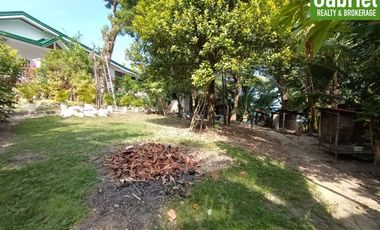 835 sqm Beach Lot for Sale in Compostela, along the road