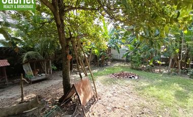 835 sqm Beach Lot for Sale in Compostela, along the road