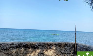 835 sqm Beach Lot for Sale in Compostela, along the road