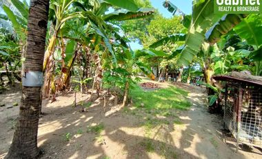 835 sqm Beach Lot for Sale in Compostela, along the road