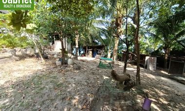 835 sqm Beach Lot for Sale in Compostela, along the road