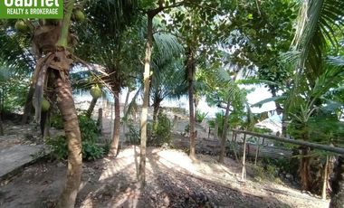 835 sqm Beach Lot for Sale in Compostela, along the road