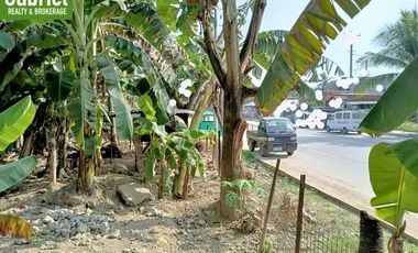 835 sqm Beach Lot for Sale in Compostela, along the road