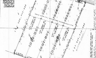 835 sqm Beach Lot for Sale in Compostela, along the road