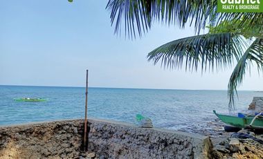 835 sqm Beach Lot for Sale in Compostela, along the road