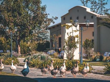Venta de casas de 2 dormitorios en exclusivo conjunto, Checa