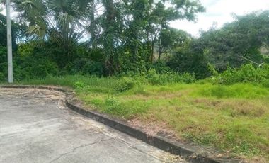 Greenwoods near Talamban Cebu City 189 Sqm Subdivision Lot for Sale