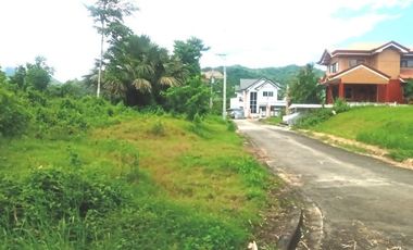 Greenwoods near Talamban Cebu City 189 Sqm Subdivision Lot for Sale