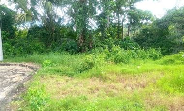 Greenwoods near Talamban Cebu City 189 Sqm Subdivision Lot for Sale