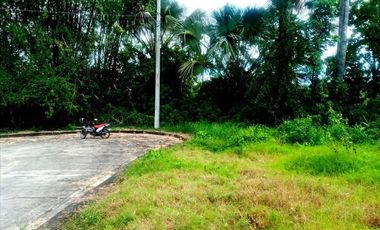 Greenwoods near Talamban Cebu City 189 Sqm Subdivision Lot for Sale