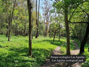 Departamento con balcón techo alto, con amenidades: cine, alberca con carril de