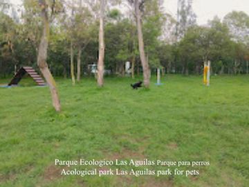 Departamento con balcón techo alto, con amenidades: cine, alberca con carril de