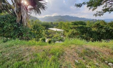216 SQM Ready for Building Lot for Sale in Greenwoods Cebu City near Talamban with Overlooking View
