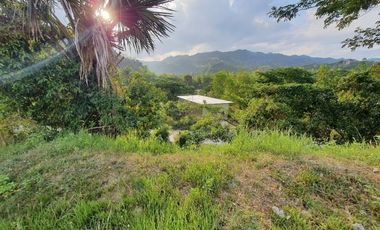216 SQM Ready for Building Lot for Sale in Greenwoods Cebu City near Talamban with Overlooking View